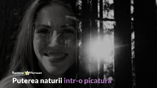 Cum utilizez site-ul sustinetisanatate.com